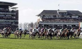 Grand National Tips Release