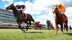 2012 Melbourne Cup countdown continues