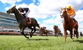2012 Melbourne Cup countdown continues