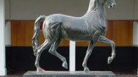 Racing fans prepare for Breeders Cup 2012