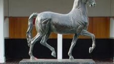 Racing fans prepare for Breeders Cup 2012