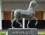 Racing fans prepare for Breeders Cup 2012