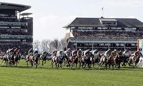 grand national tips