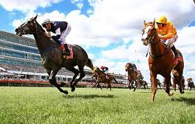 melbourne cup live stream